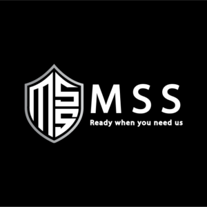 Mishigan Staffing Solutions
