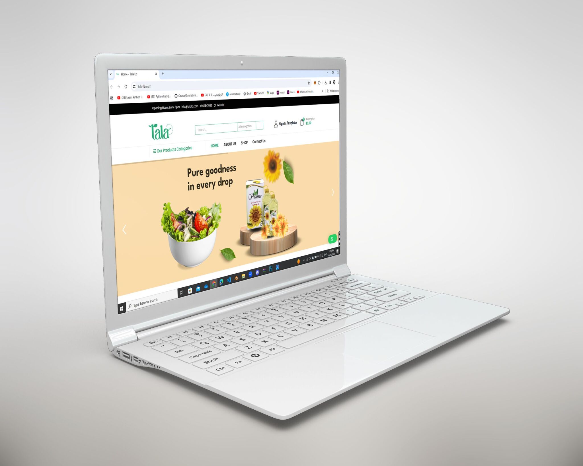 Tala – Web Development | IIS E-Solutions