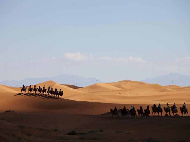 Camel caravan in a desert in Xinjiang, China