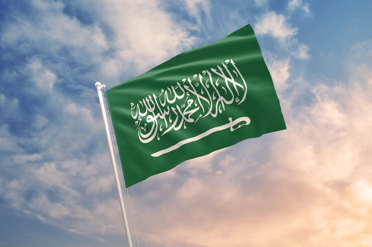 illustration-saudi-arabia-flag_230313-228