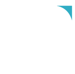 Services | IIS E-Solutions